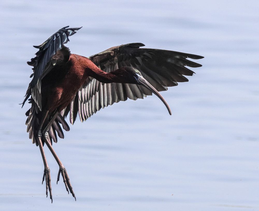 Photograph by Валентина Лопаткина