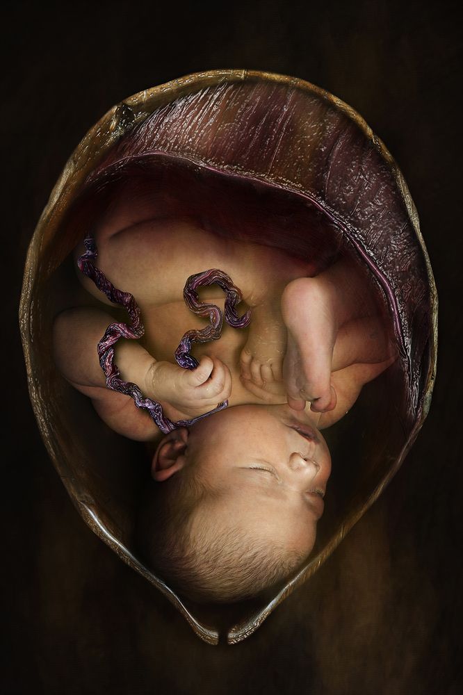 Photograph by Lia Lo