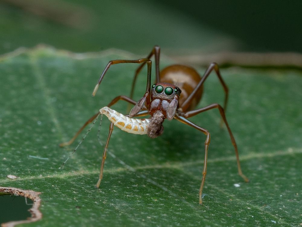 Photograph by Manjunath S