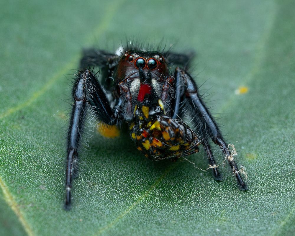 Photograph by Manjunath S