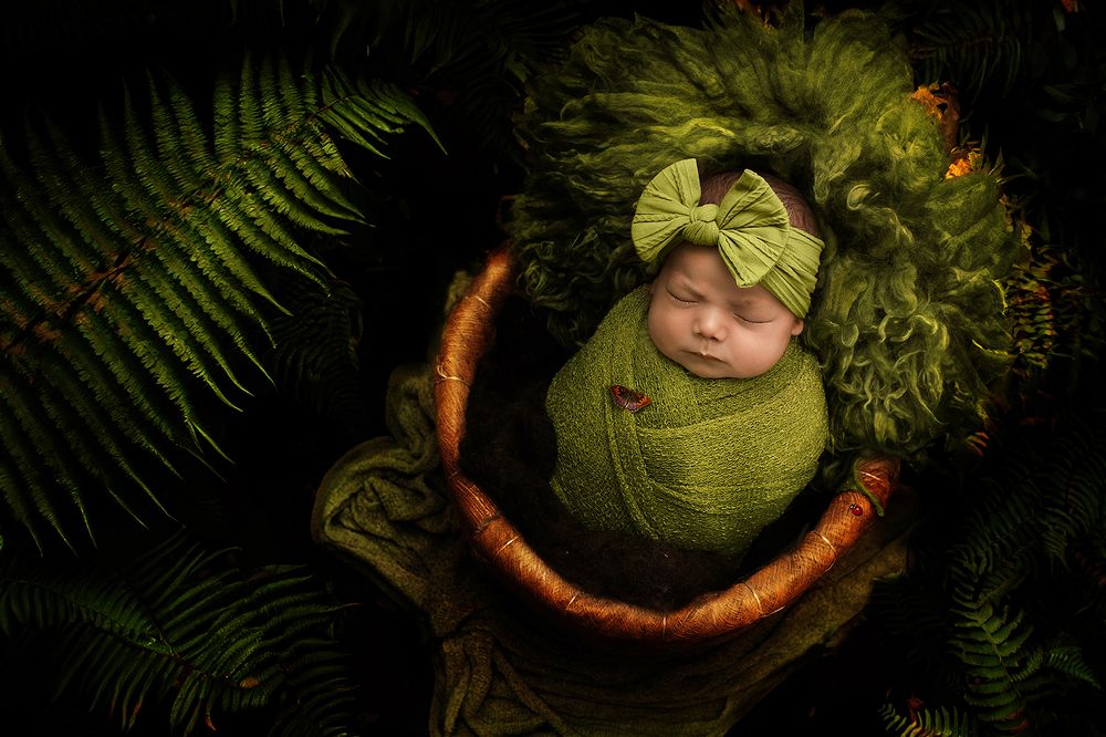 Photograph by Lia Lo