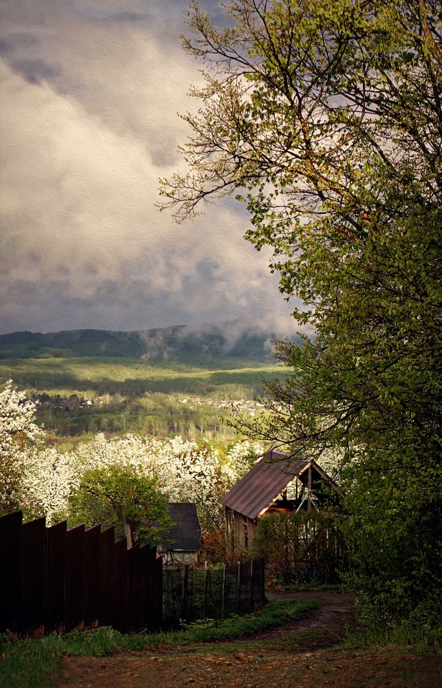 Photograph by Анна Колесниченко