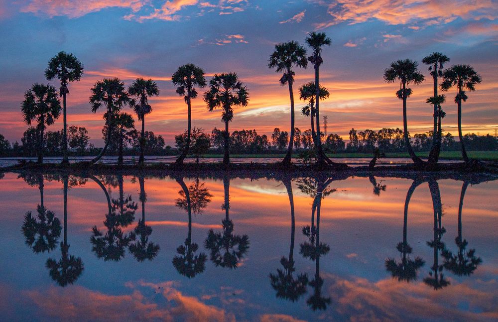 Photograph by Hanh P. T. Pham