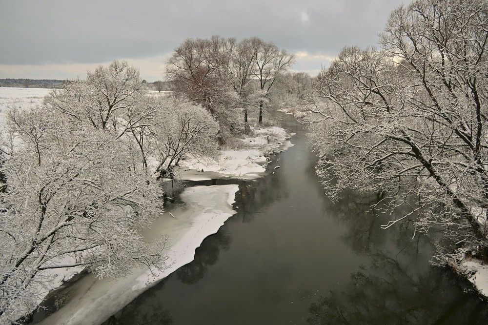 Фотография автора IRINA FILIPPOVA