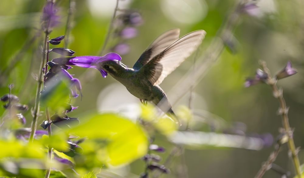 Photograph by Ирина Петрова