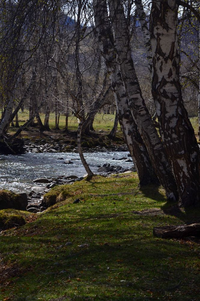 Photograph by Ольга Кашлева