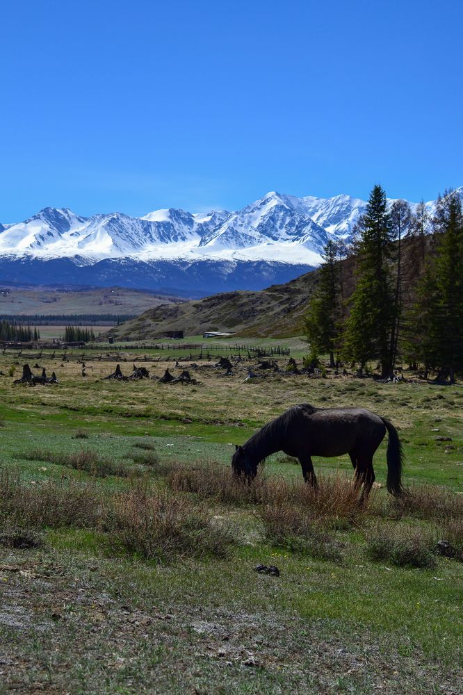 Photograph by Ольга Кашлева
