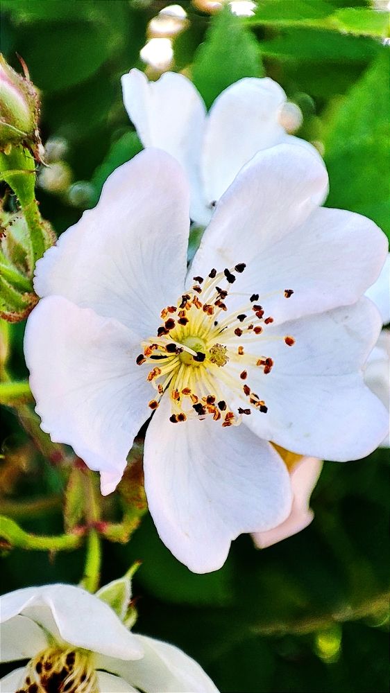 Photograph by Алёна