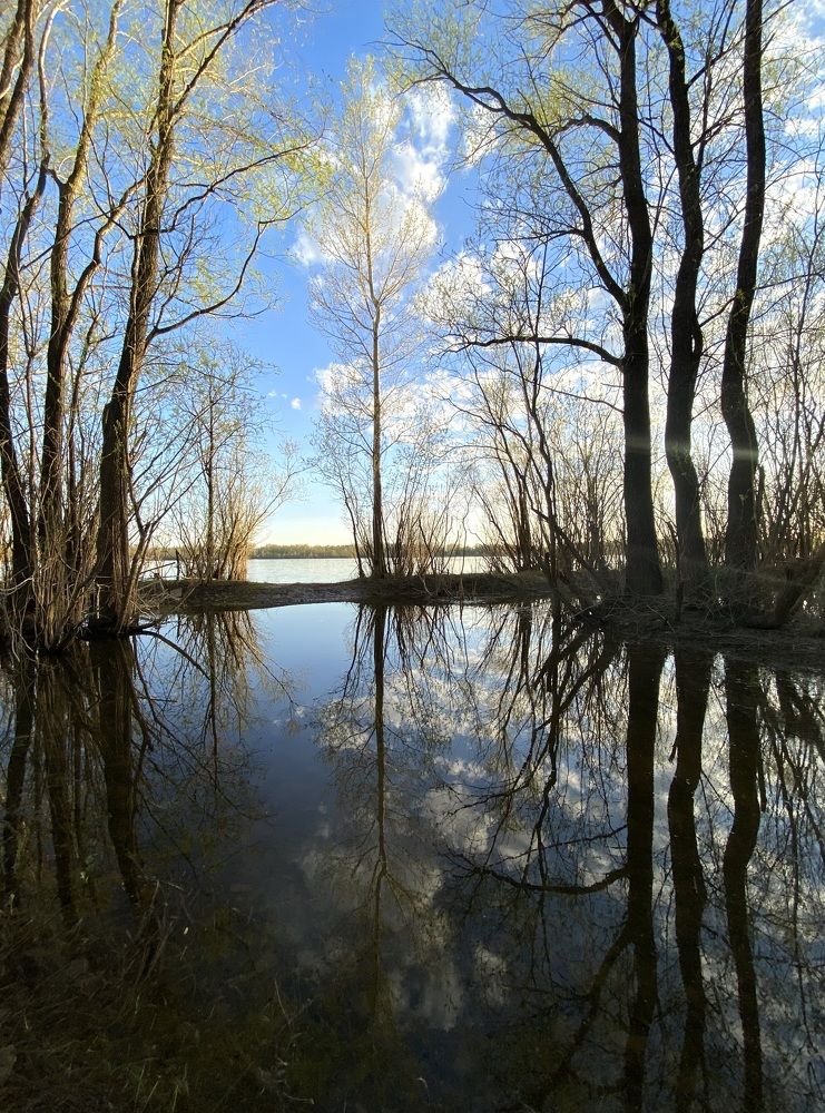 Photograph by Алиса Лукина