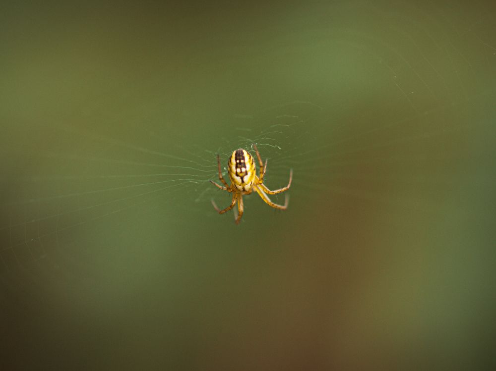 Photograph by Isidora Nikolić