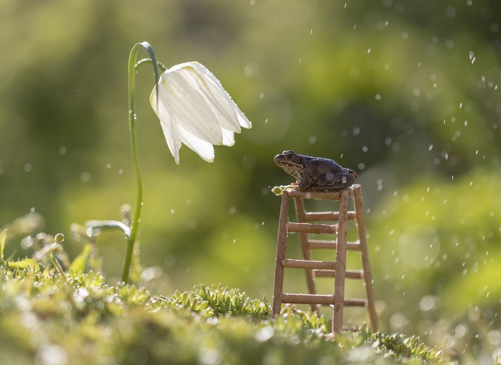 Photograph by Tatyana Fedenkova