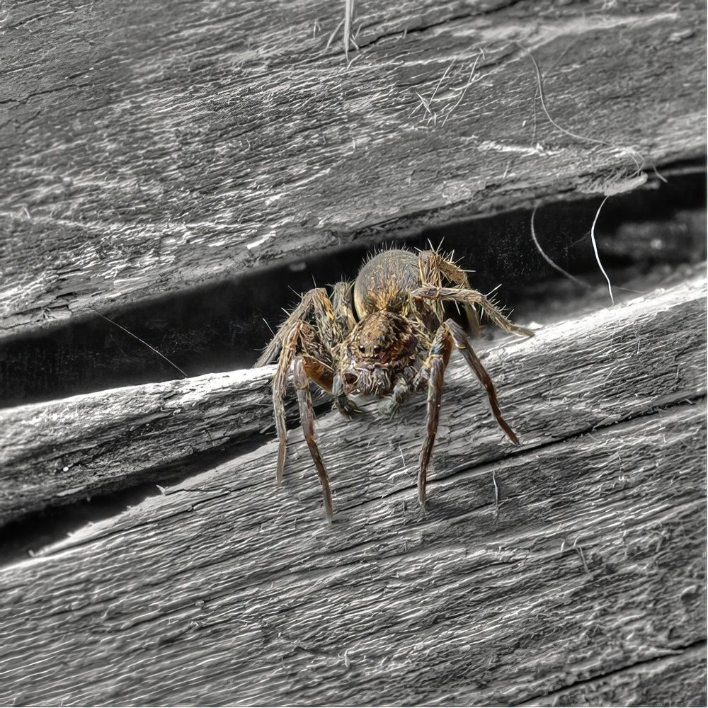 Photograph by Старцев Андрей