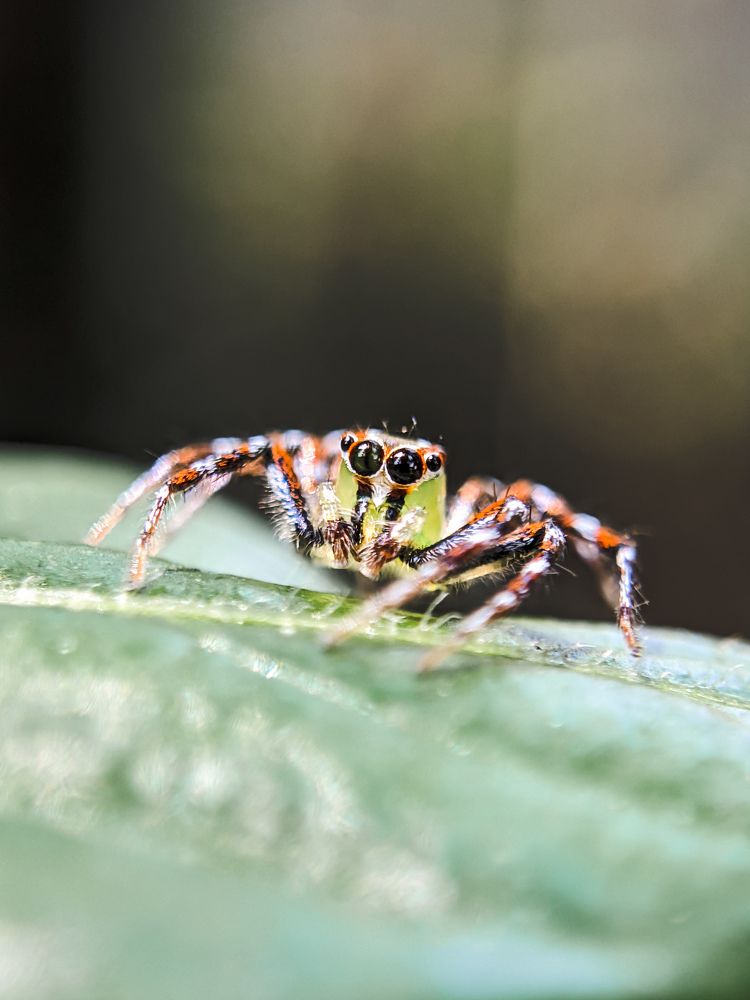 Photograph by GOVIND VISWANATH