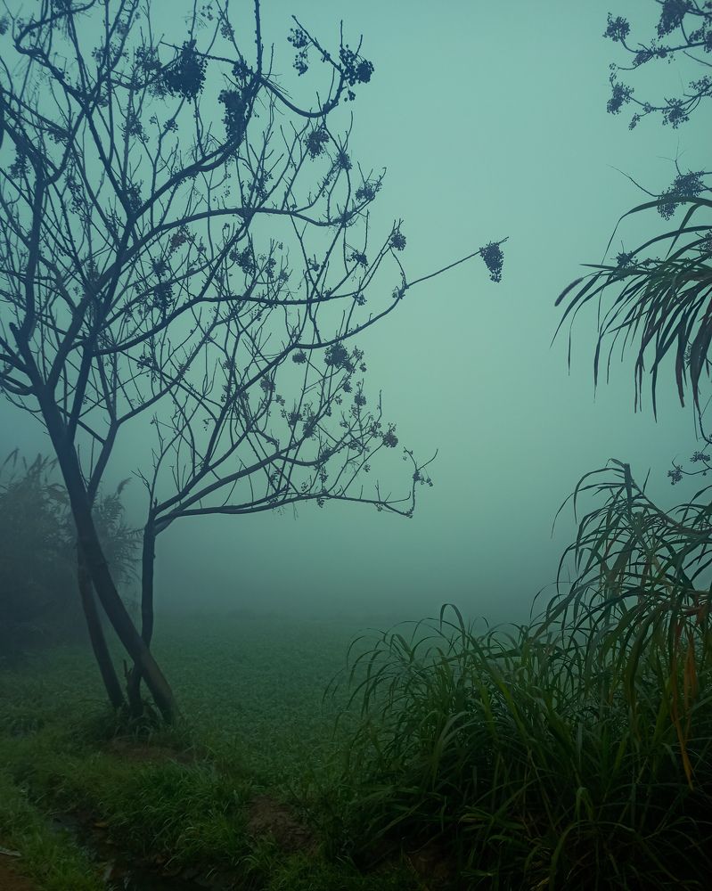 Photograph by Eslam Eslamsamy