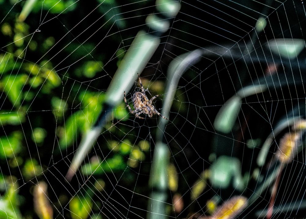 Photograph by Владимир Кваша