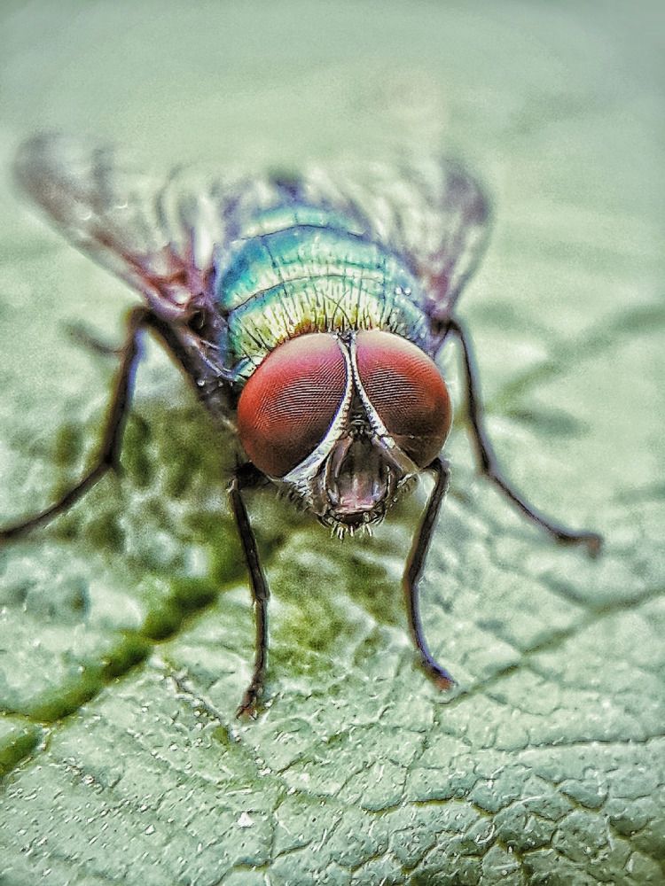 Photograph by Марина Мальцева