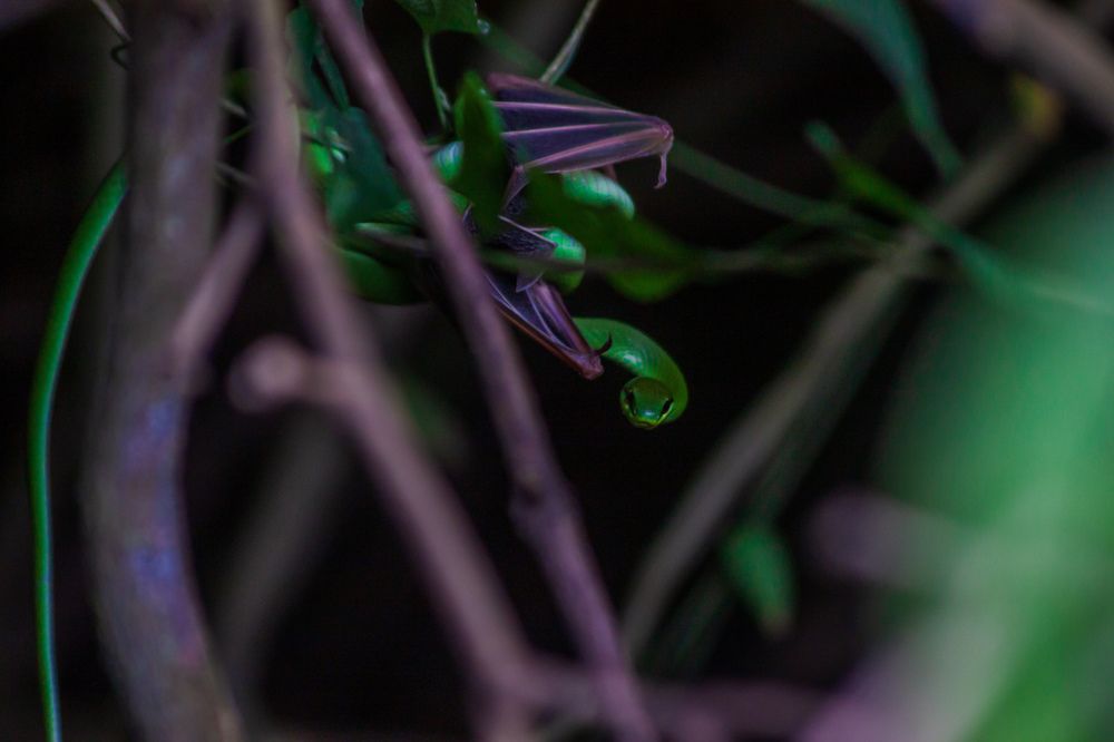Photograph by Jhackson Wylhan