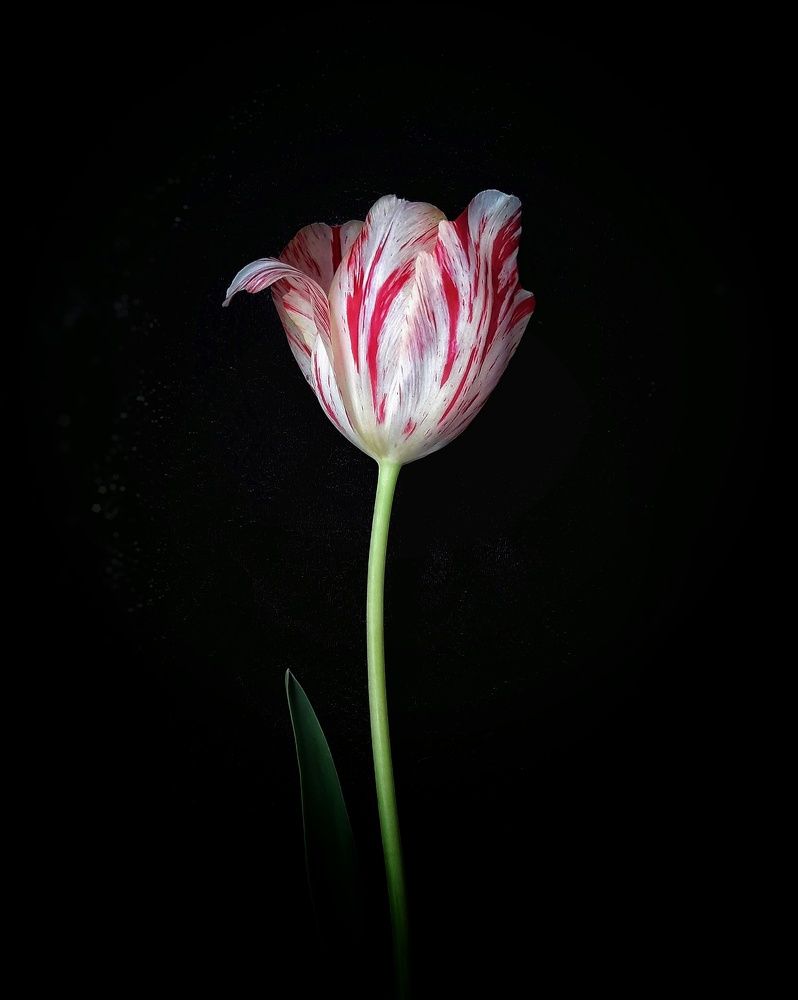 Photograph by Марина Мальцева