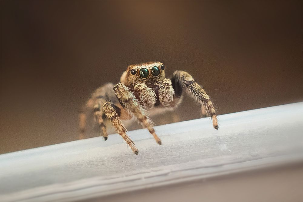 Photograph by Виктория Мамаева