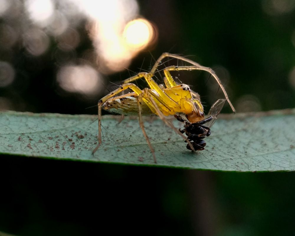 Фотография автора Subham Banerjee