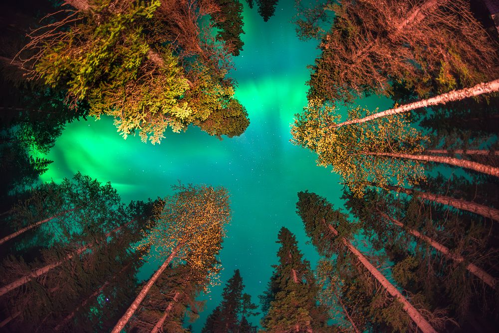 Photograph by Ермолин Александр