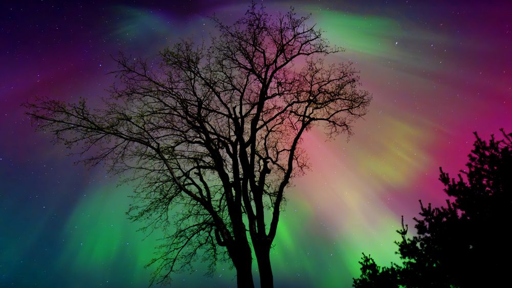 The Celestial Silhouette