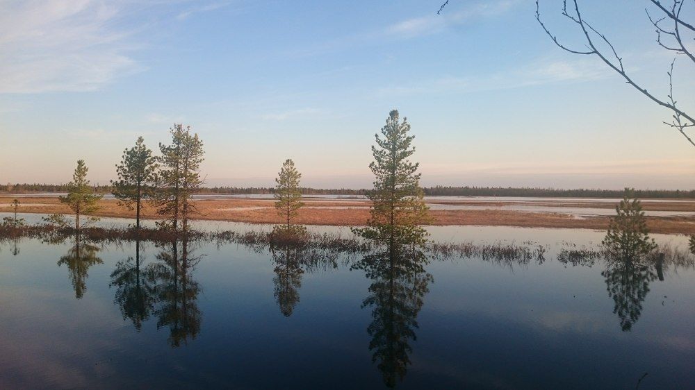 Photo #10597946