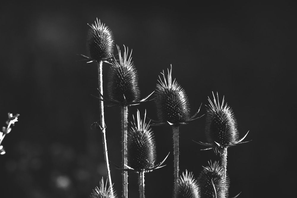 Фотография автора Михаил Лупина