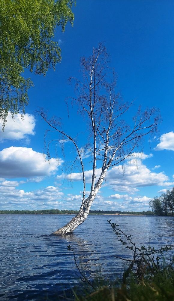 Photograph by Наталья Батюкова