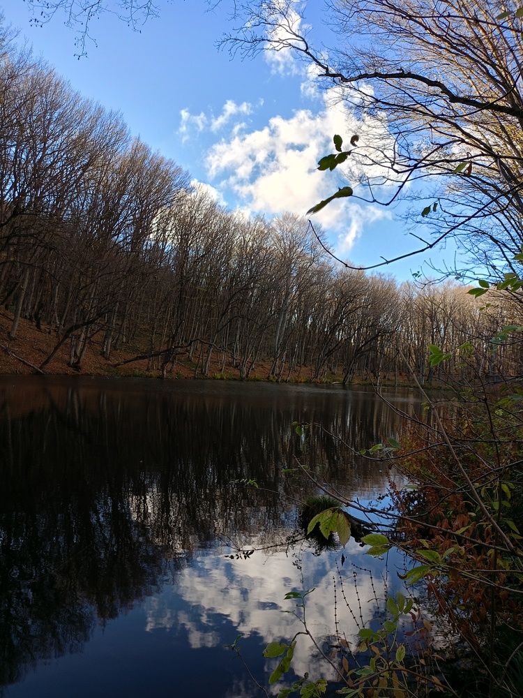 Photo #10598038