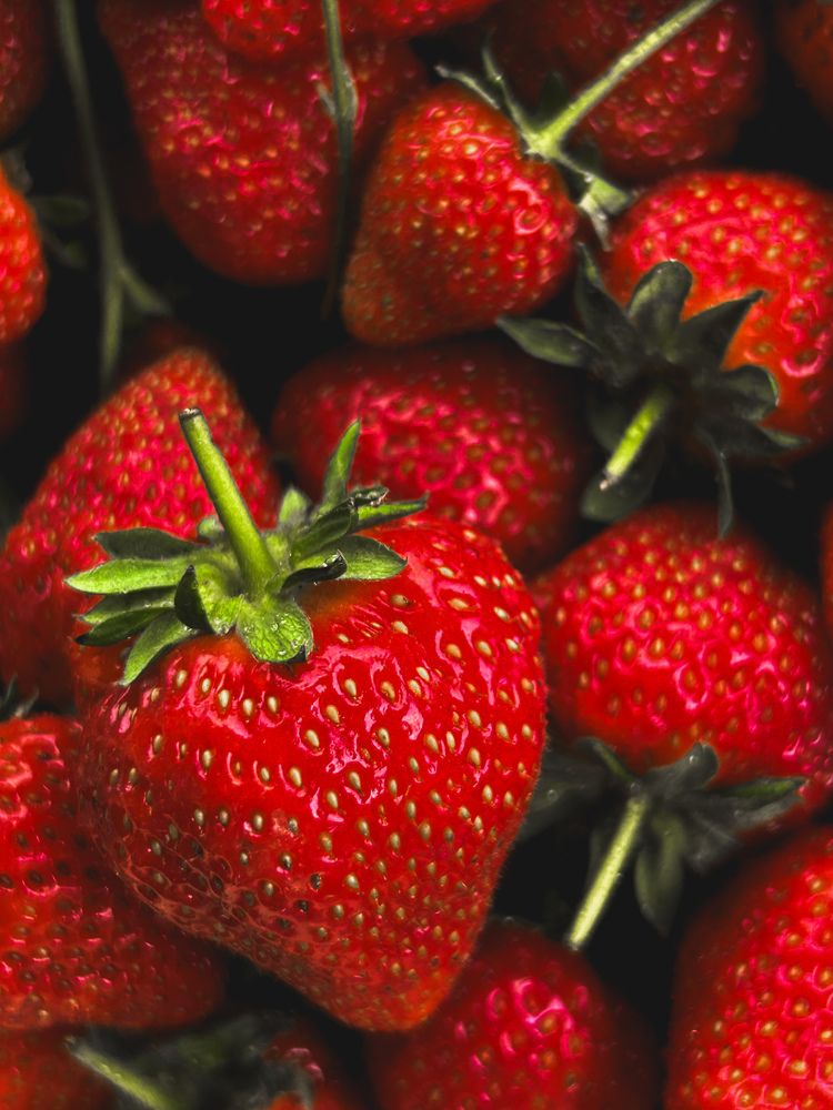 Фотография автора Алёна Васина