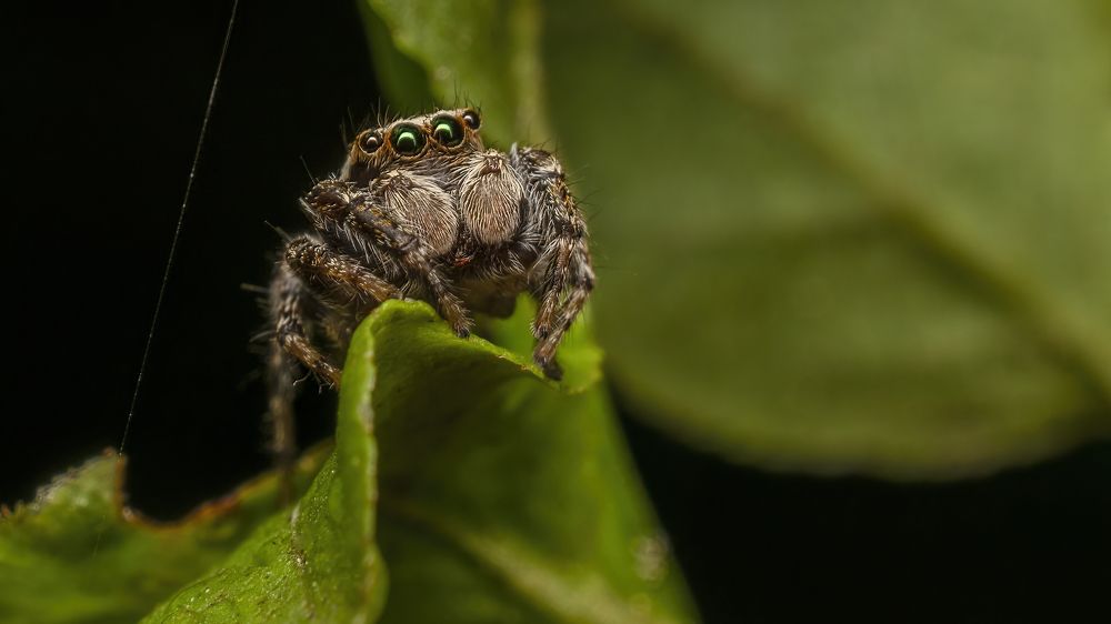 Photograph by Людмила Железнова