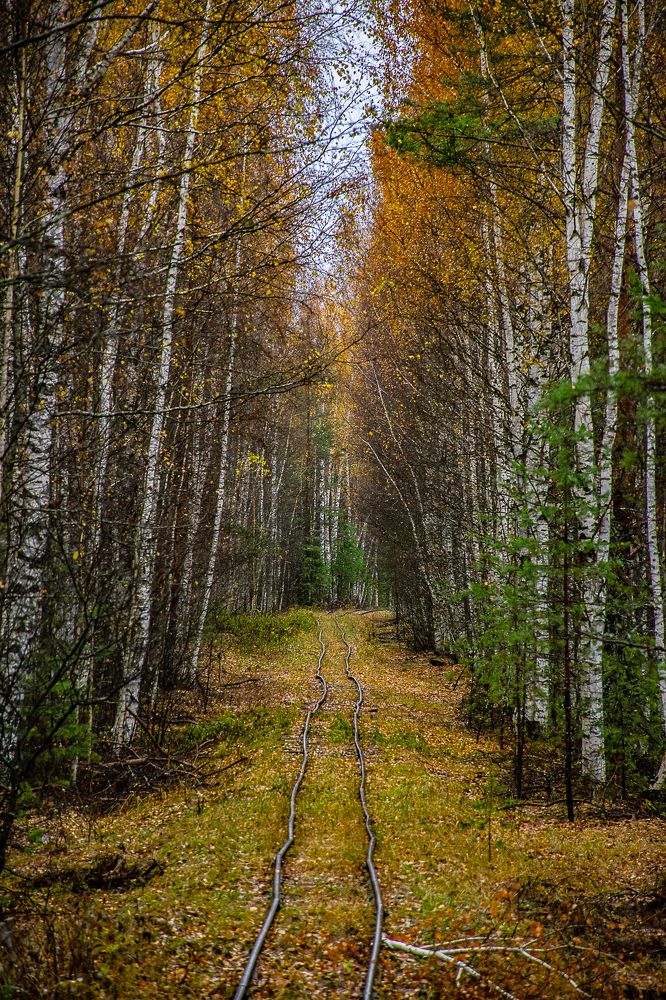 Photograph by Антон Бабичев