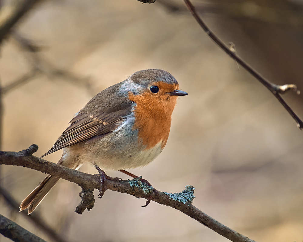 Photograph by Mikhail Khmelevskiy