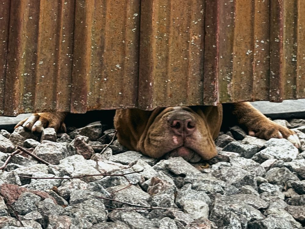 Photograph by Елена Марьюшкина