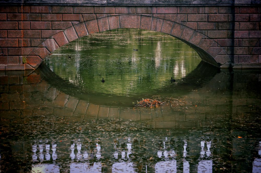 Photograph by Yana Egorova