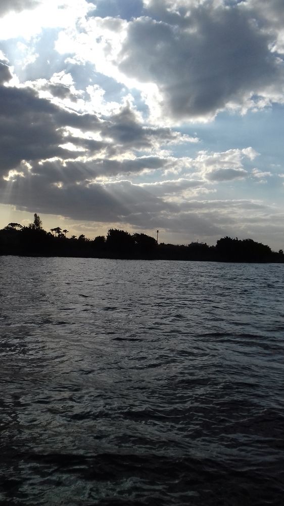 Photograph by Ahmed Soror