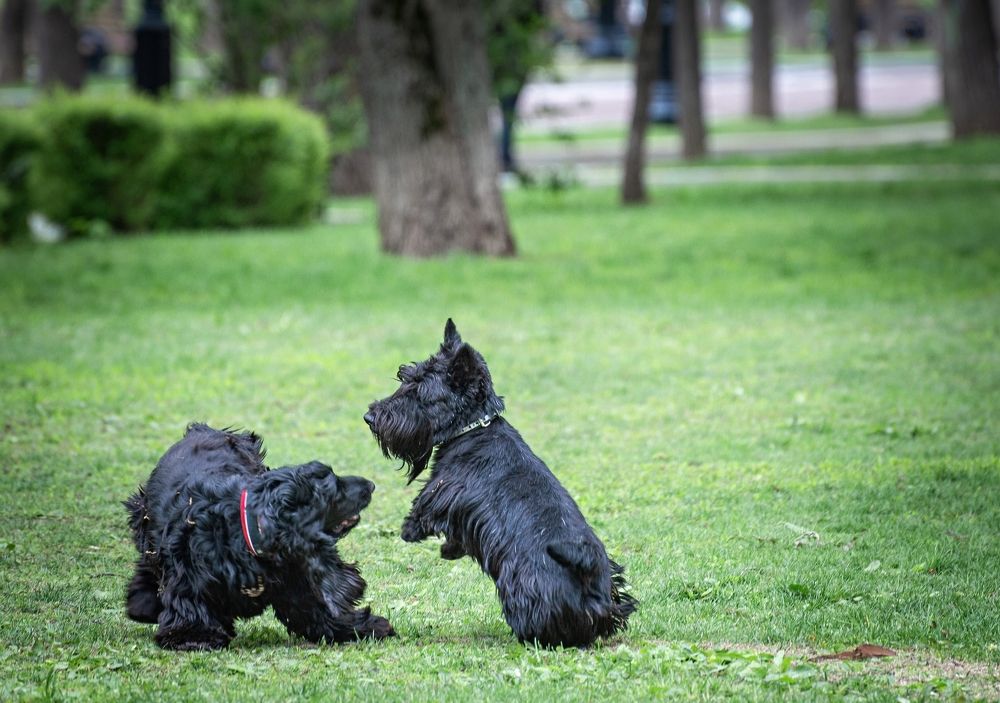 Photograph by Сергей Басов