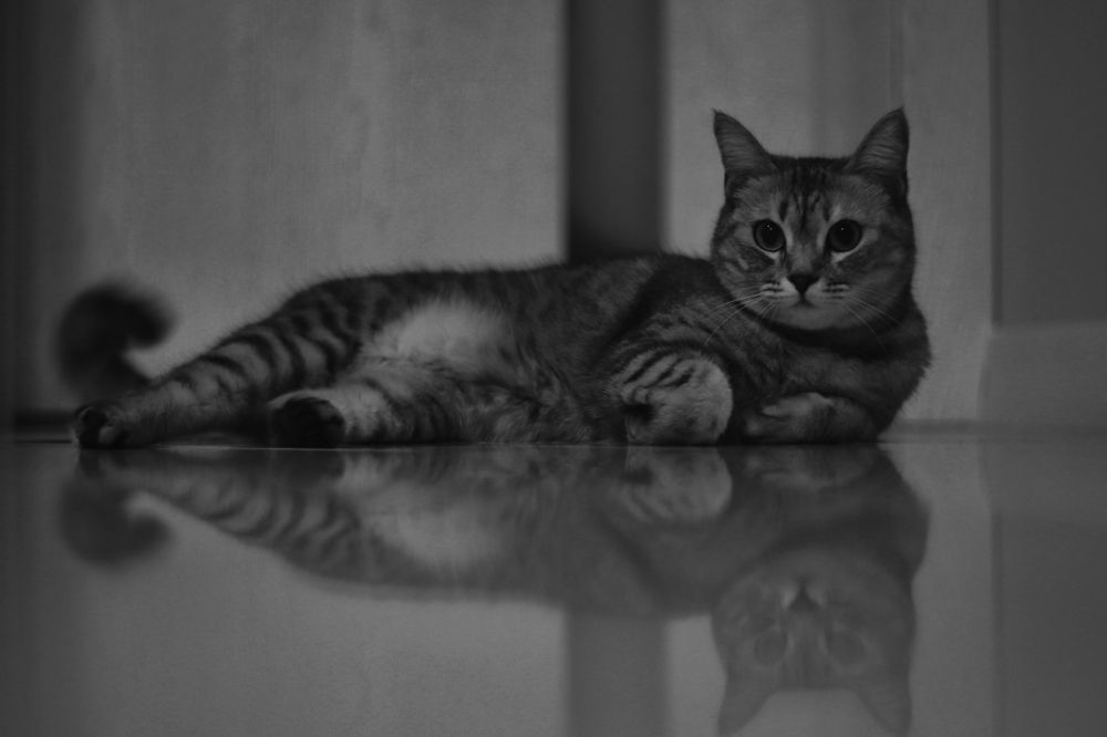 Photograph by Yana Egorova