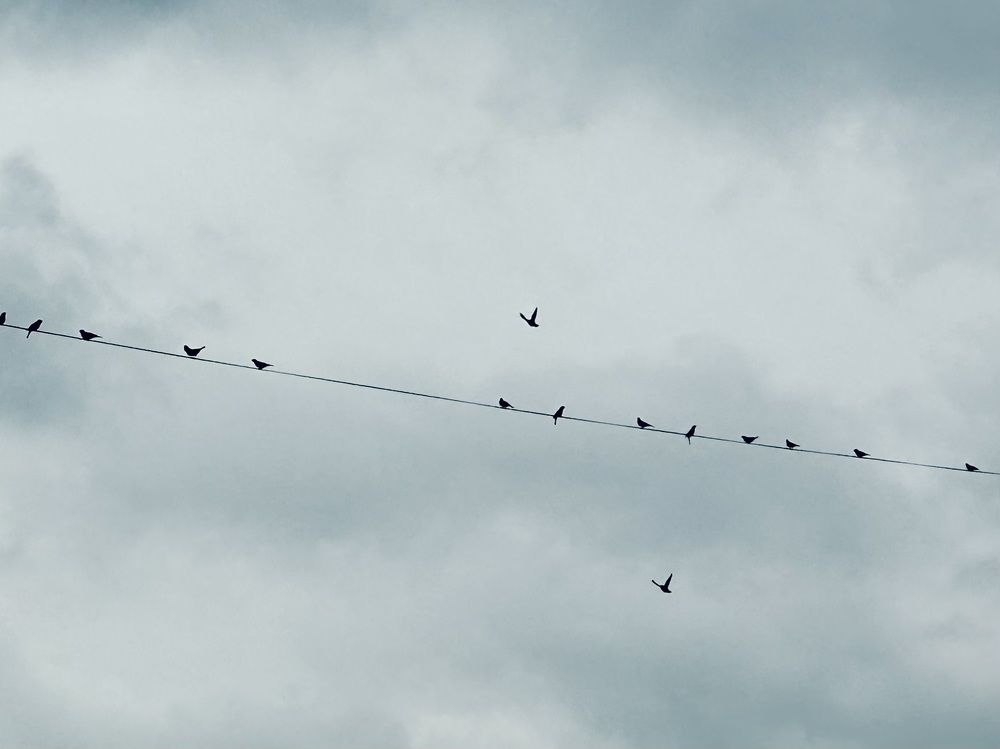 Photograph by Ольга Барулина