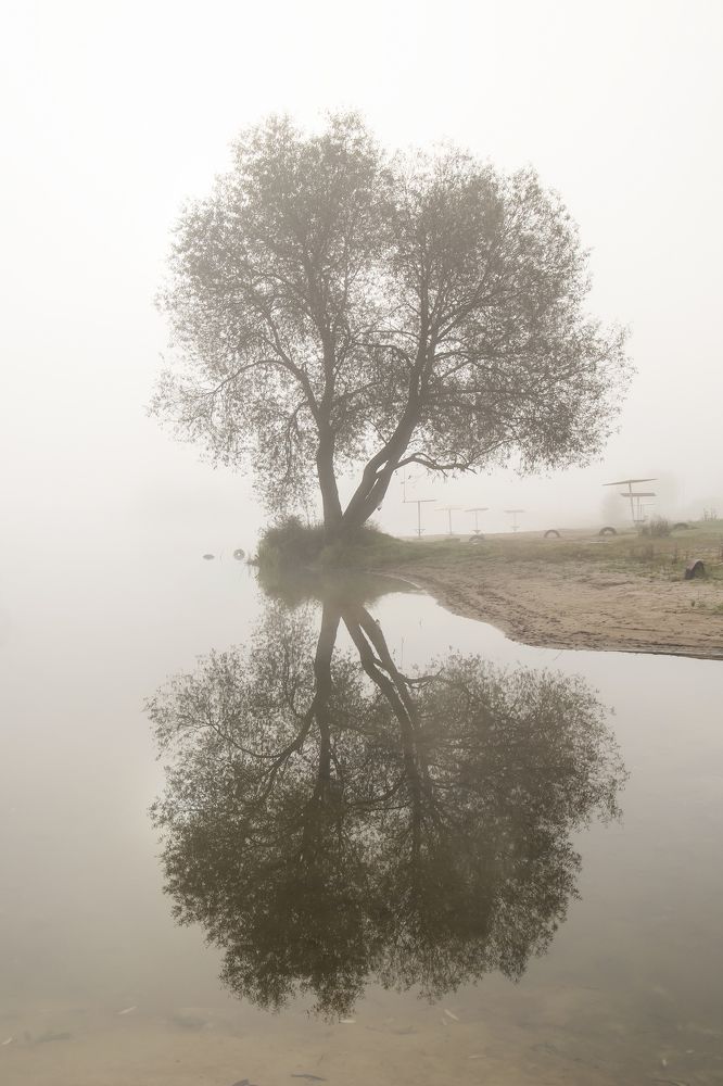 Photograph by Светлана Карнаух