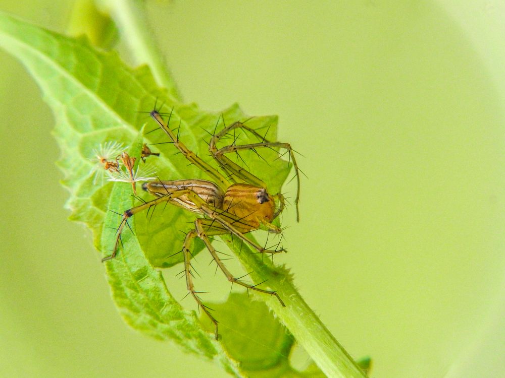 Photograph by Bidyut Dutta
