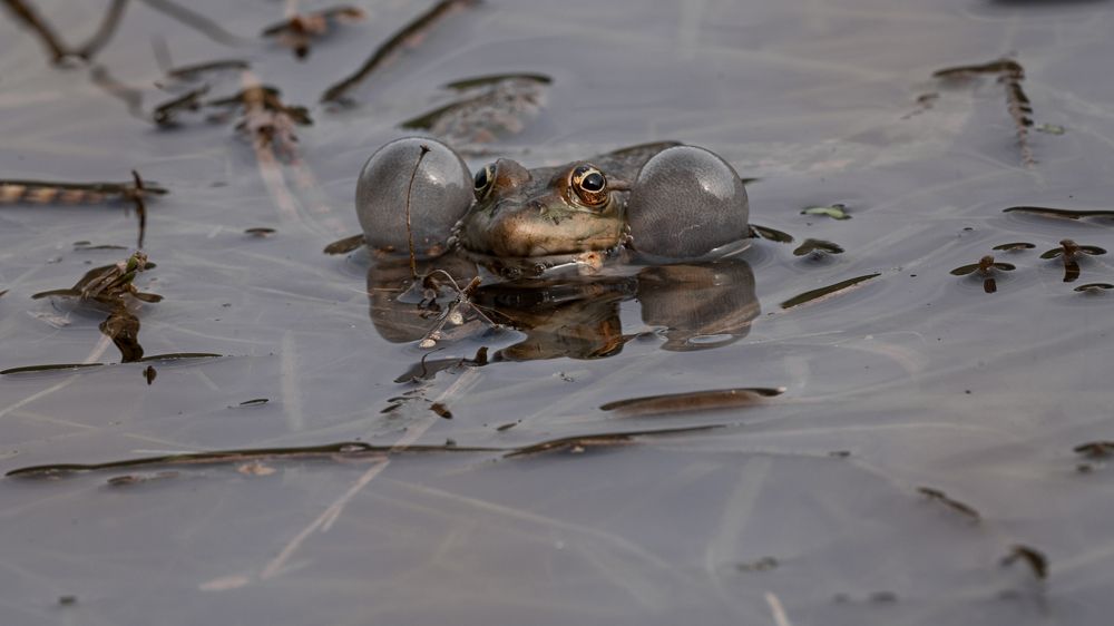Photograph by Тамара Вотинцева