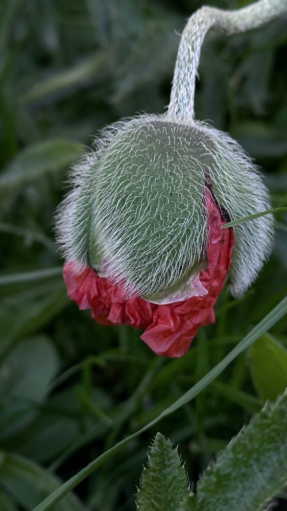 Фотография автора Наталья