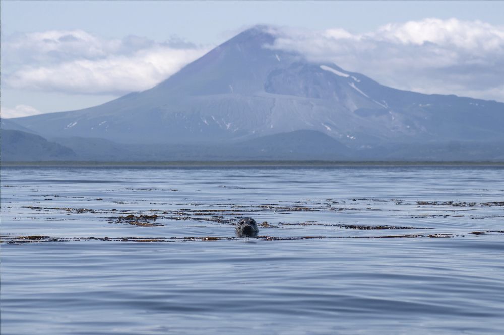 Photograph by Svetlana