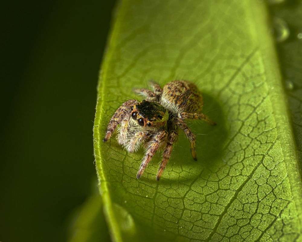 Photograph by Игорь Толкачев