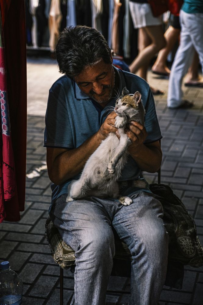 Фотография автора Sérgio Bruno Brandão