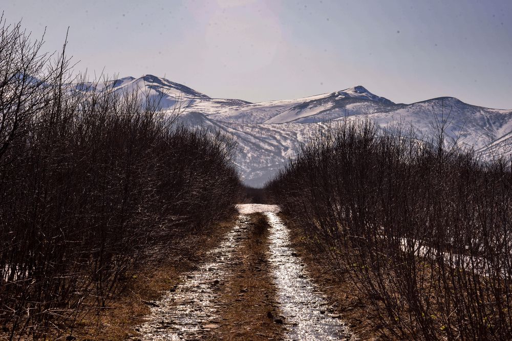 Photograph by Yrii Usoltsev