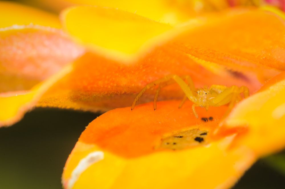 Photograph by Patricio Murphy