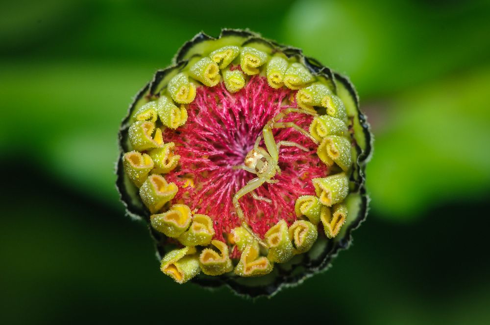 Photograph by Patricio Murphy